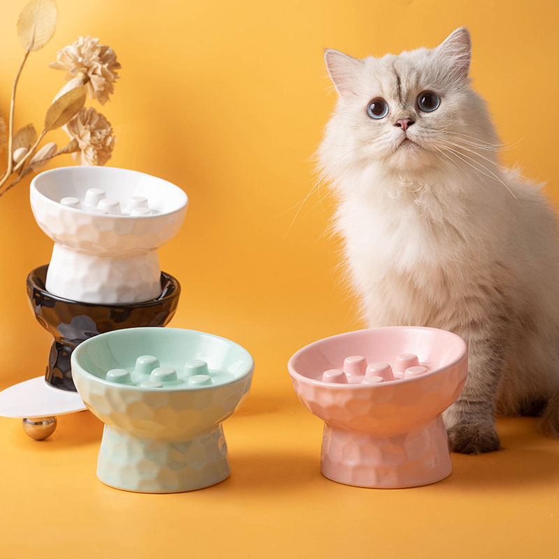 Slow Cooker Ceramic - 1pc 猫ボウルセラミック高足スローフードアンチノック傾斜口首保護ペット猫犬ライスボウル